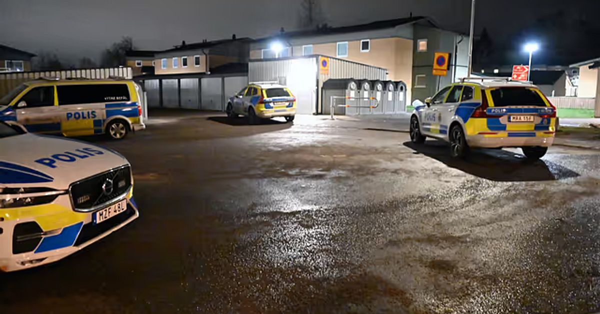 20-åring får 12 års fängelse för skott mot bostad