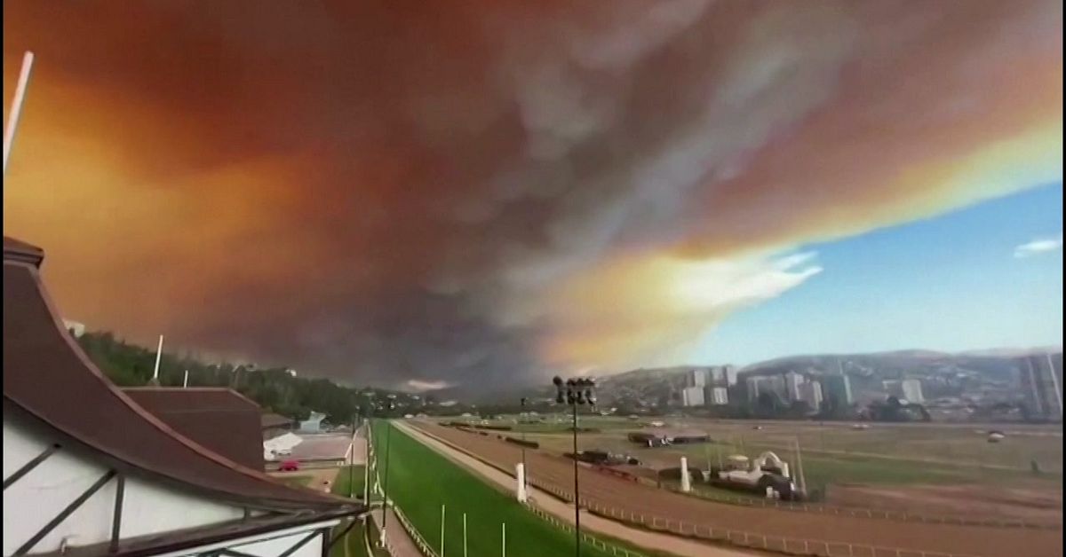 Fires paralyze Chile – about a hundred dead