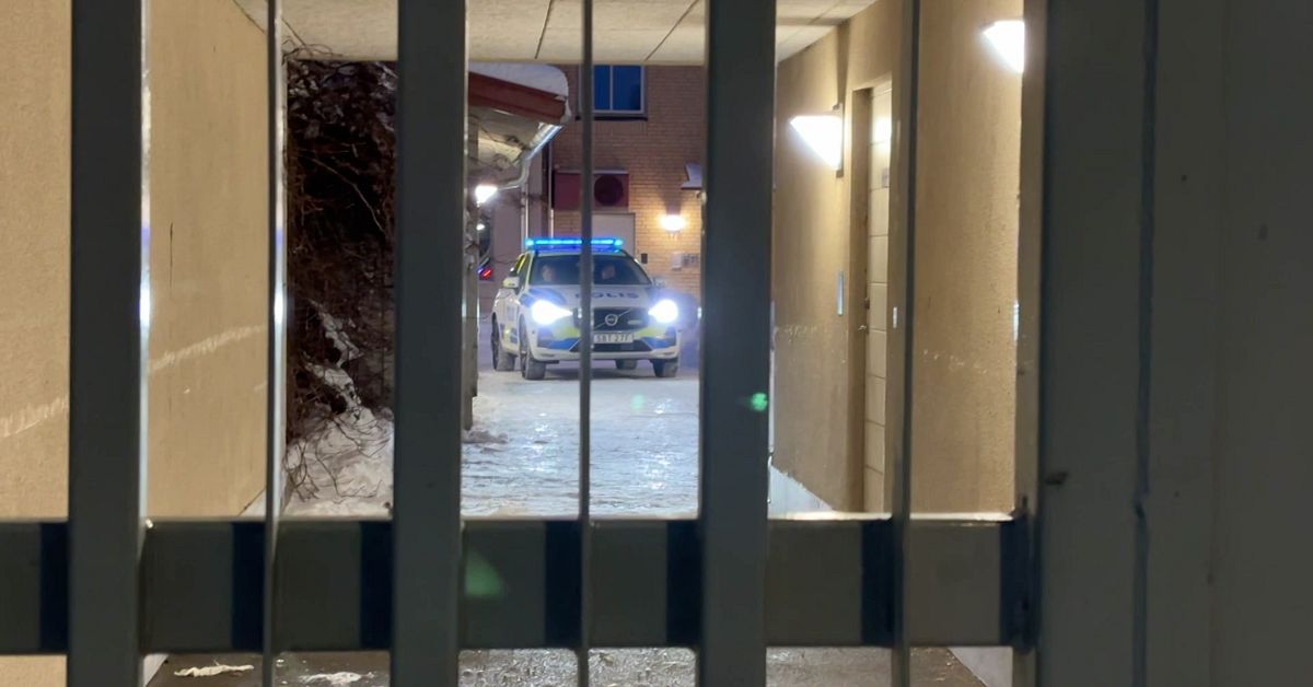 Tre beg&auml;rs h&auml;ktade efter handgranatfynd i Uddevalla
