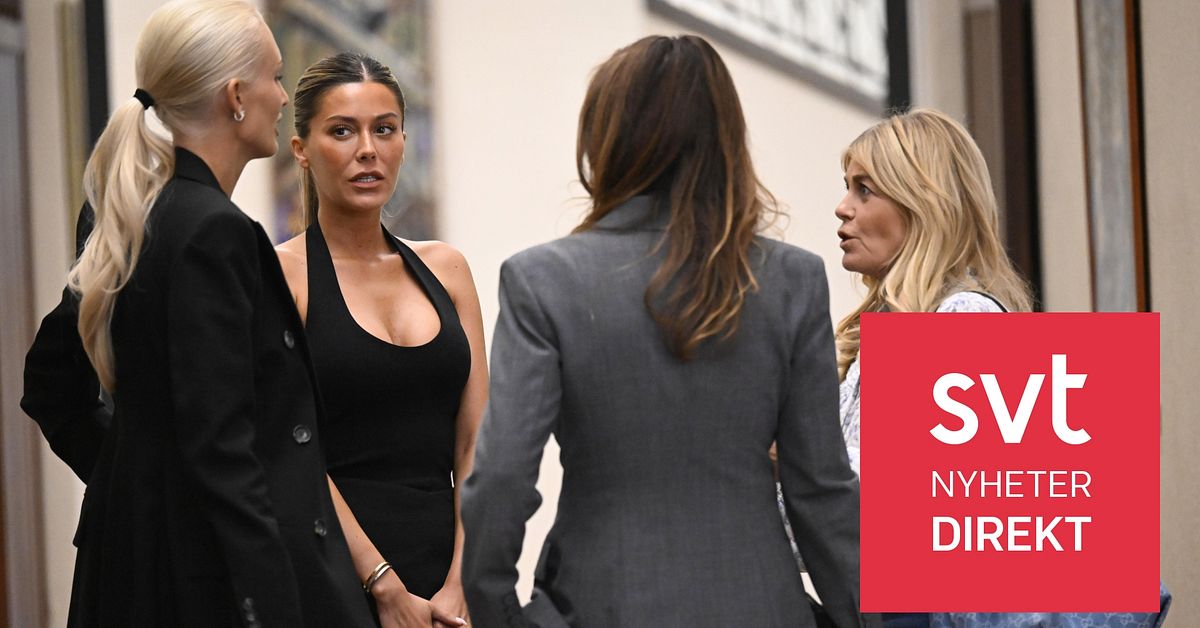 Bianca Ingrossos stalker döms till fängelse