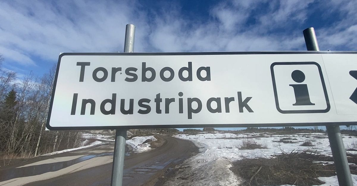 Google vill k&ouml;pa hela Torsbodabolaget