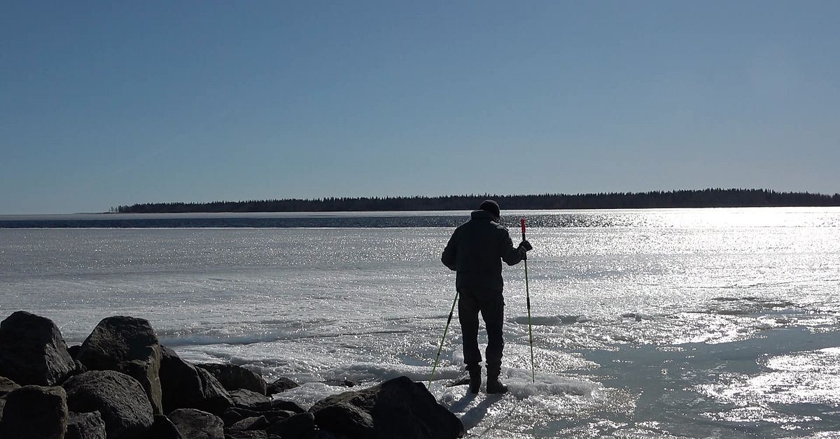 Ser tjock ut men b&auml;r inte &ndash; varnar f&ouml;r l&ouml;mska isar