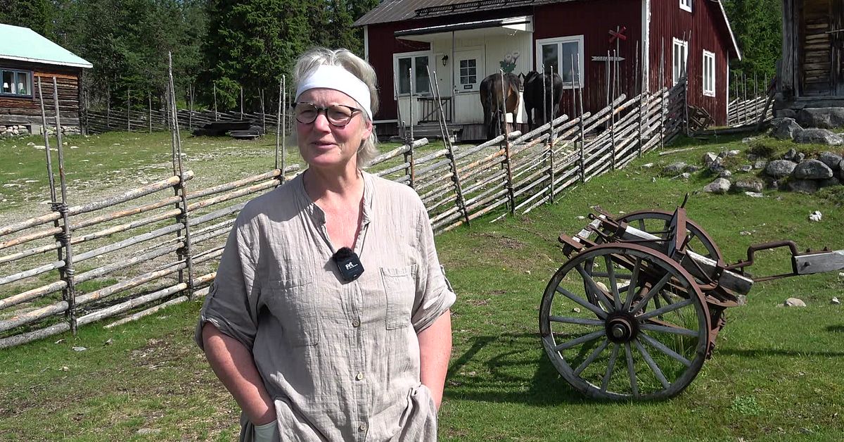 Fjällbonden Marika i Nysätern  isolerades efter skyfallet – har hög beredskap för oväder