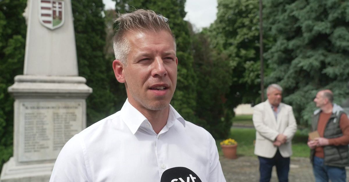 Ungern går till val – vem är Péter Magyar?