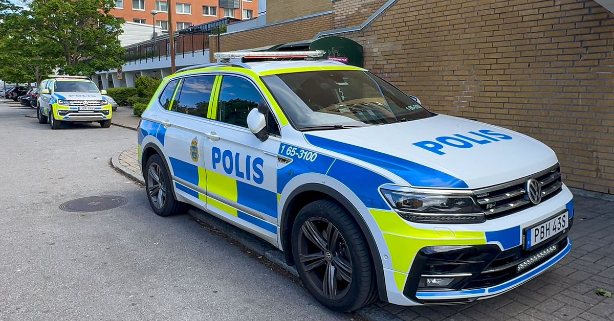 Misst&auml;nkt mord i Malm&ouml; &ndash; tre gripna