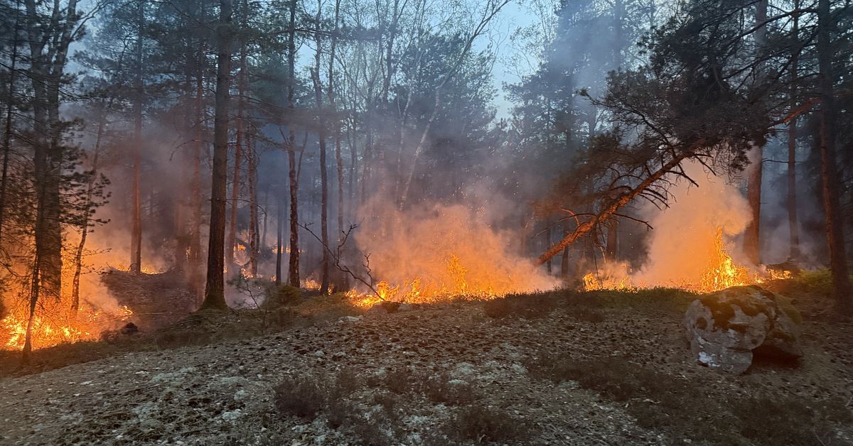 19 hektar skog brinner i Delsjöområdet – räddningstjänsten avvaktar med aktiv släckning på grund av farlig terräng — image 1