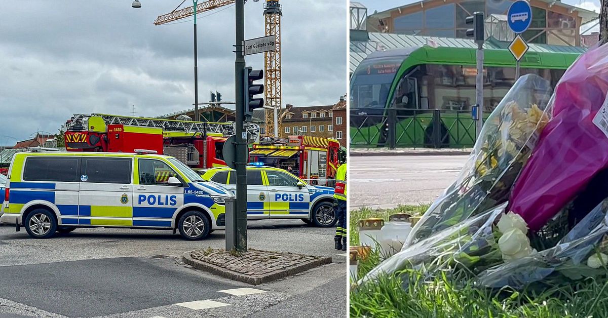 Efter d&ouml;dsolyckan p&aring; S&ouml;derv&auml;rn &ndash; f&ouml;raren erk&auml;nner