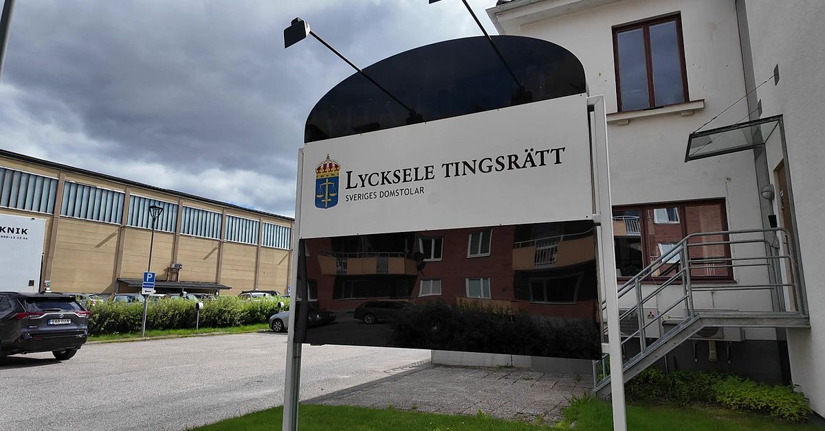 Man fr&aring;n inlandet skapade barnporr med hj&auml;lp av AI &ndash; d&ouml;ms till f&auml;ngelse