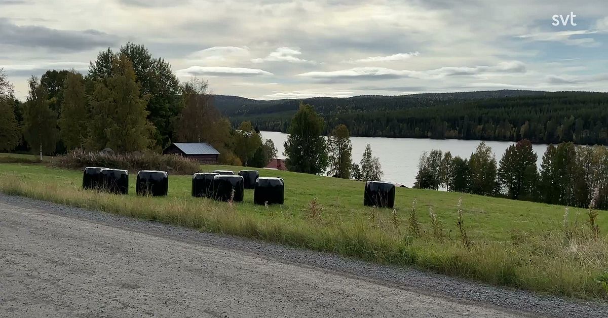 Valduell om vården – det här är beskeden från politikerna | SVT Nyheter