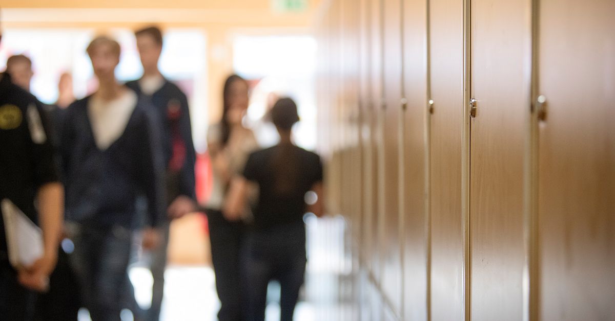 Fritidspedagog i Ume&aring; h&auml;ktad &ndash; misst&auml;nks ha tagit barnpornografiska bilder i skolmilj&ouml;