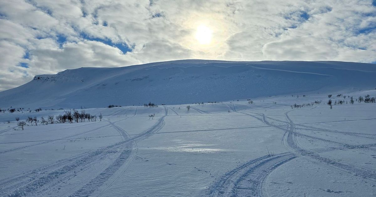 Sn&ouml;skotrar utl&ouml;ste stor lavin i Sorsele kommun
