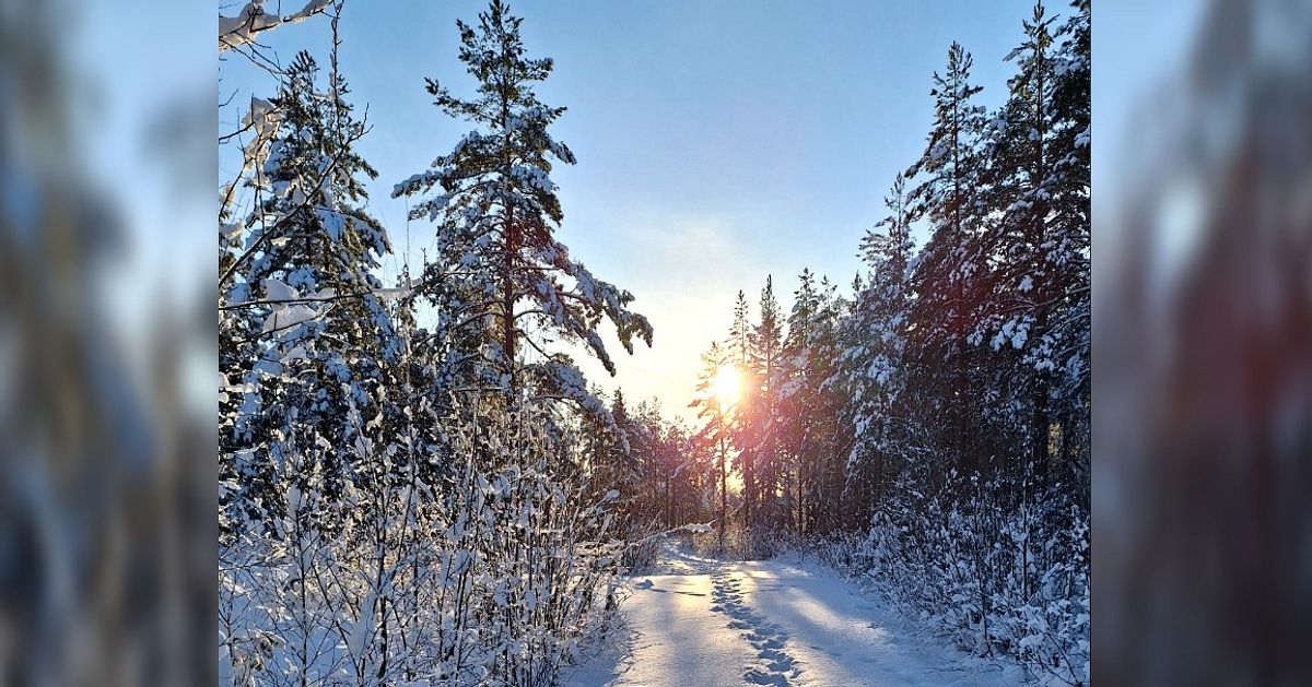 M&aring;nadens bild: dags att skicka in din februaribild