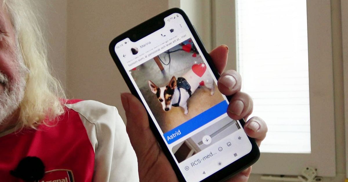 Hunden som bet ihj&auml;l Kents hund i &Ouml;stersund ska avlivas