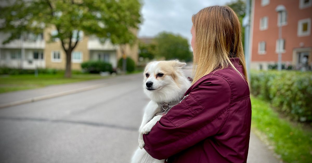 Explosion intill bostadshus i Linköping – Boende: ”Känns otäckt”