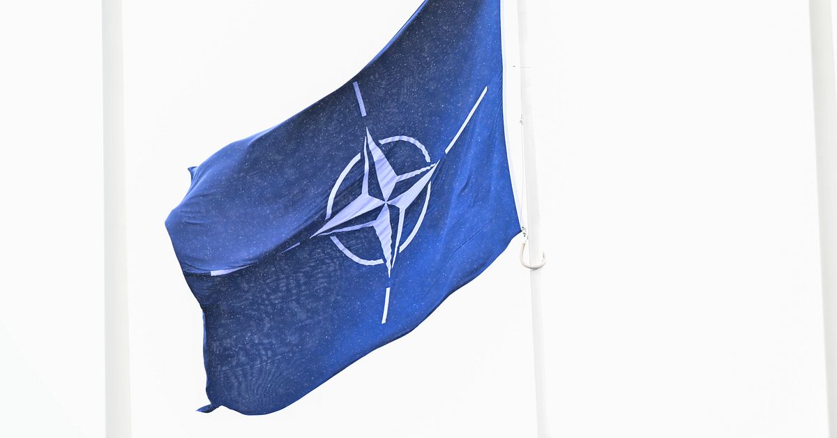 Kritik mot Nato-m&ouml;ten med filmskapare