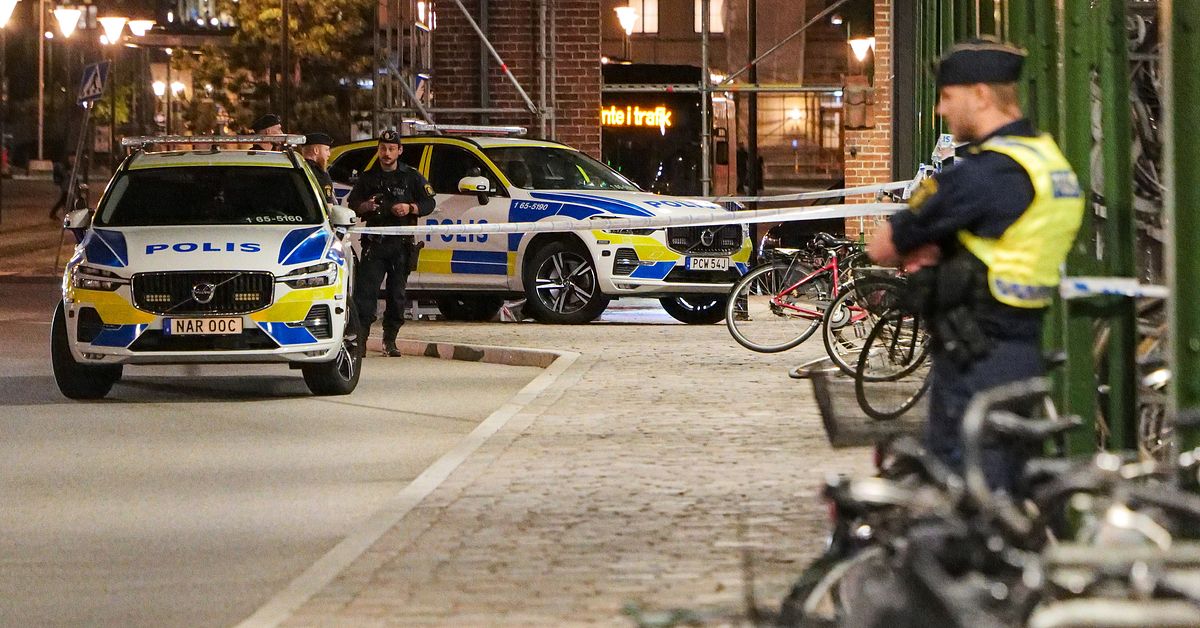 Misst&auml;nkt v&aring;ldt&auml;kt p&aring; centralstationen i Malm&ouml;