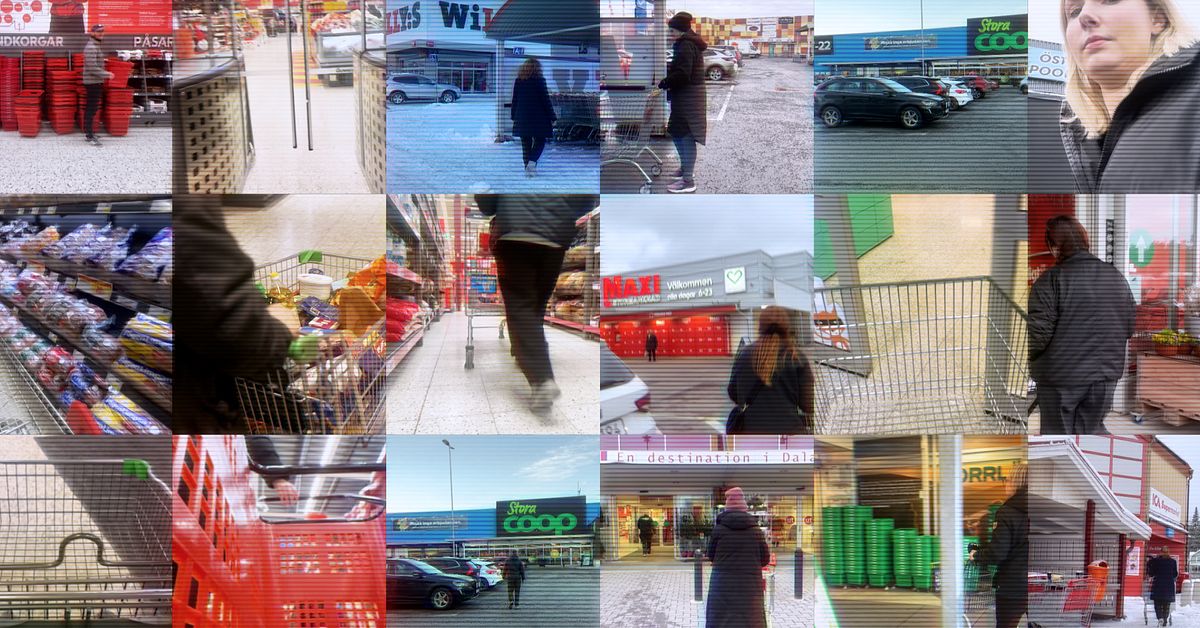 SVT har granskat momss&auml;nkningen &ndash; st&ouml;rre vinst att byta till billig butik