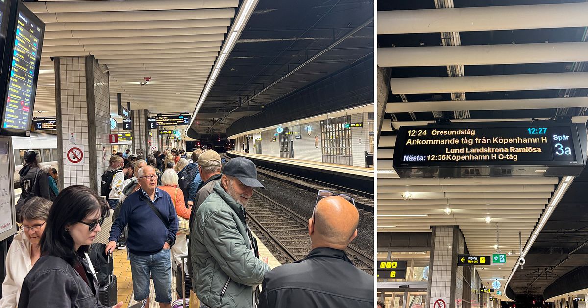 F&ouml;rsenade avg&aring;ngar efter t&aring;gstopp mellan Lund och Malm&ouml;