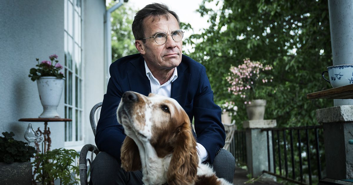 De mest lojala &ndash; v&auml;ljarna som skulle kunna r&ouml;sta p&aring; en hund