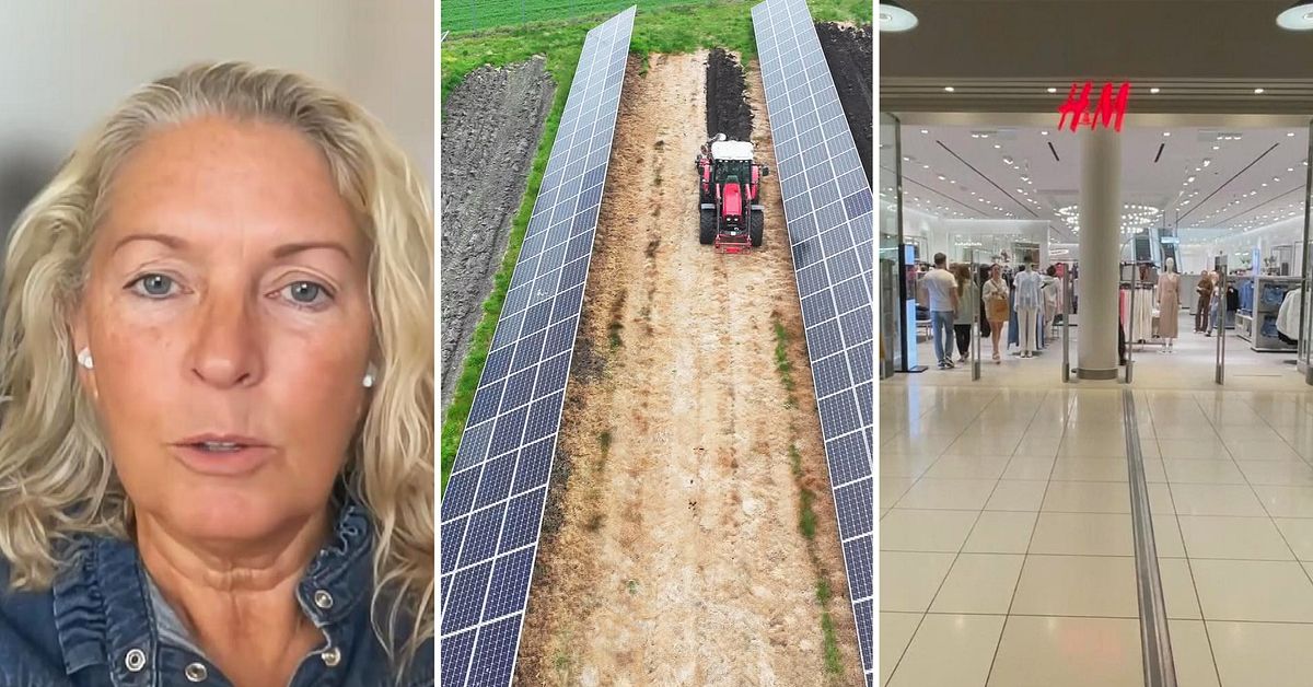 Sveriges största solcellspark invigs – all el köps upp av H&M