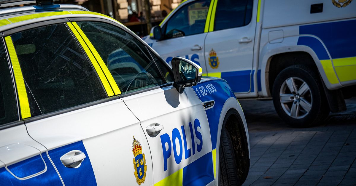 Polisman i norra Sverige omh&auml;ndertog skjutvapen &ndash; k&ouml;pte vapensk&aring;pet