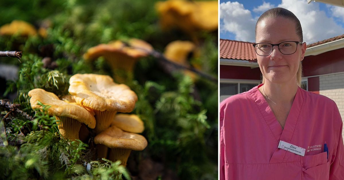Lina lämnade sin svamp till äldreboende: ”Det uppskattas mycket”