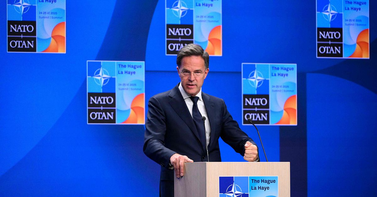Rutte: Medlemsländerna ska ge mer till Nato