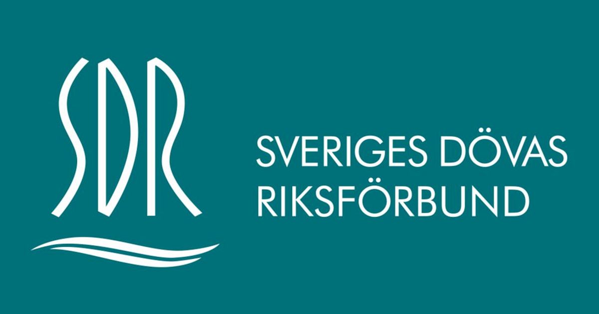 SDR om namnbytet: &rdquo;Vi tar v&aring;rt ansvar och har d&auml;rf&ouml;r pausat arbetet&rdquo;