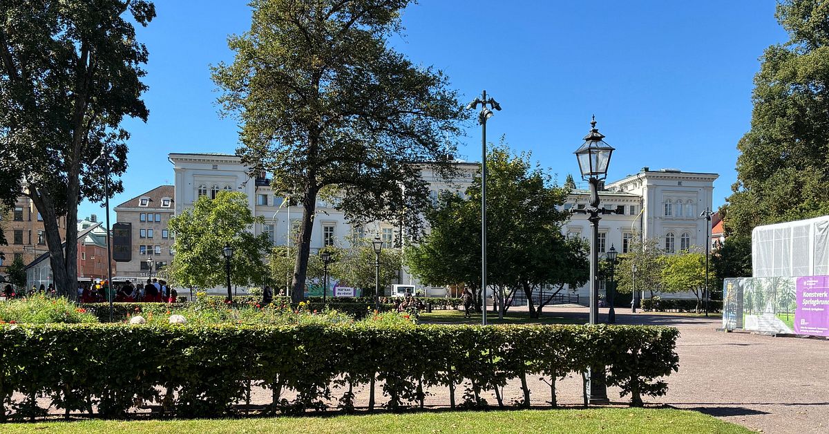 Farliga f&ouml;rem&aring;let i R&aring;dhusparken var riktad mot en person