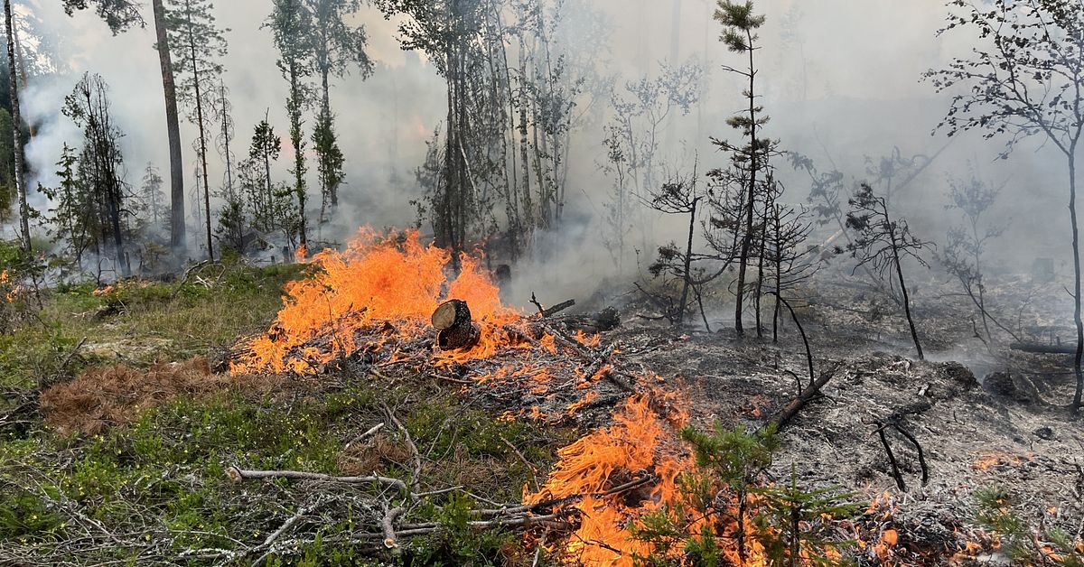 Skogsbrand med meterh&ouml;ga l&aring;gor utanf&ouml;r Avesta