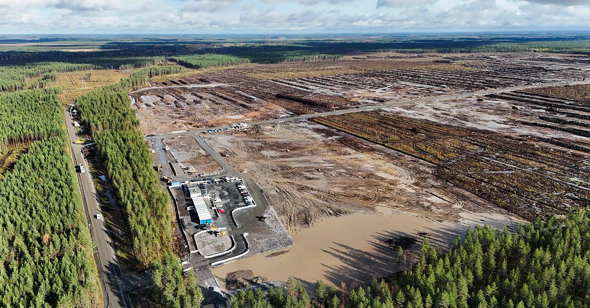 Inleder utredning efter avverkning kring Googles datacenter i Finland