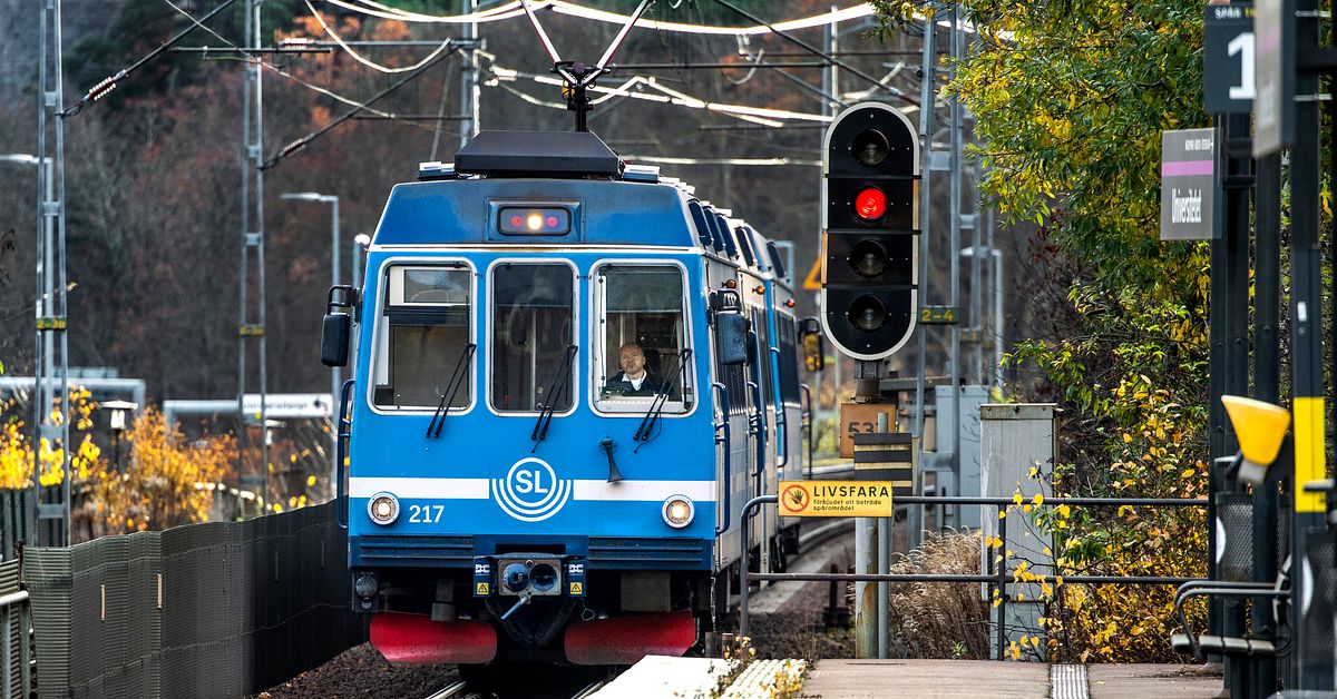 Hund slet sig från ägare – dog under tåg på Roslagsbanan