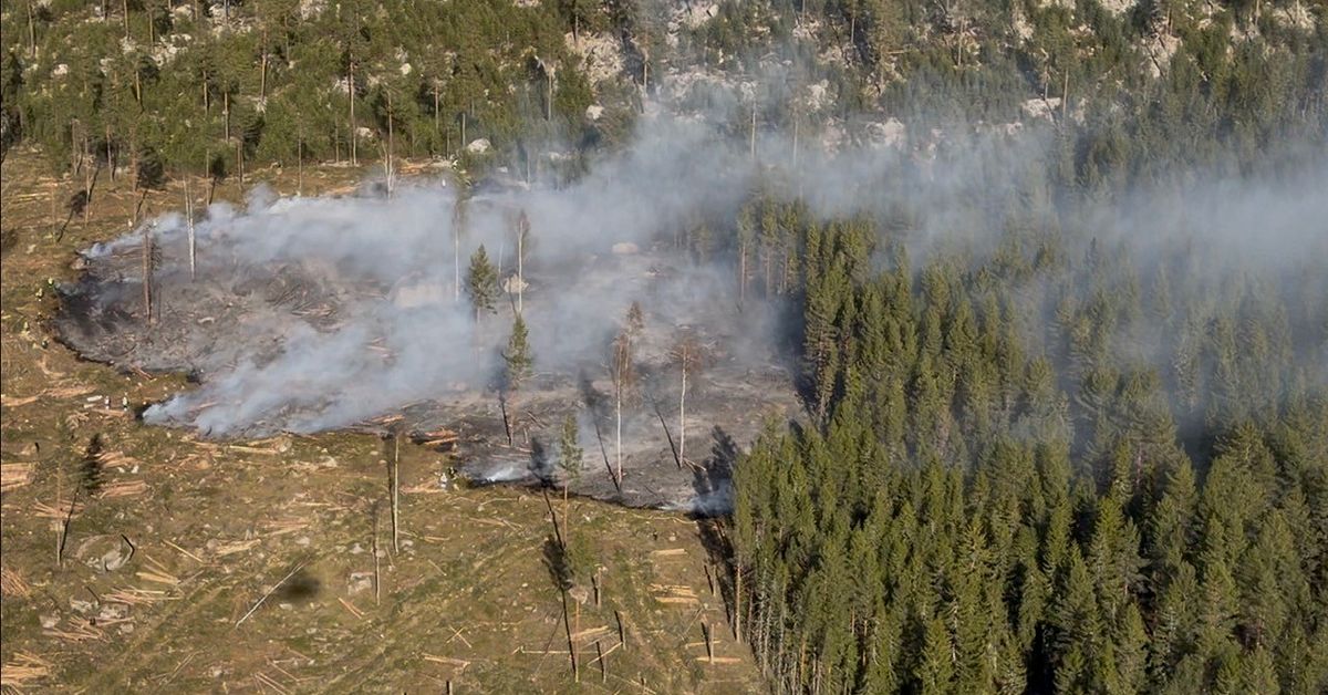 Varning f&ouml;r skogsbrand i stora delar av landet