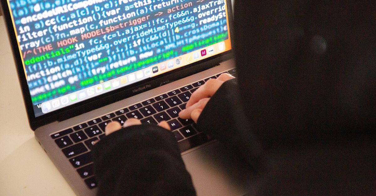 Det kom förövarna åt när de hackade Region Norrbotten