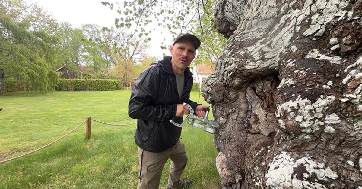 H&auml;r vaccineras Pippi L&aring;ngstrumps sockerdrickstr&auml;d mot almsjuka