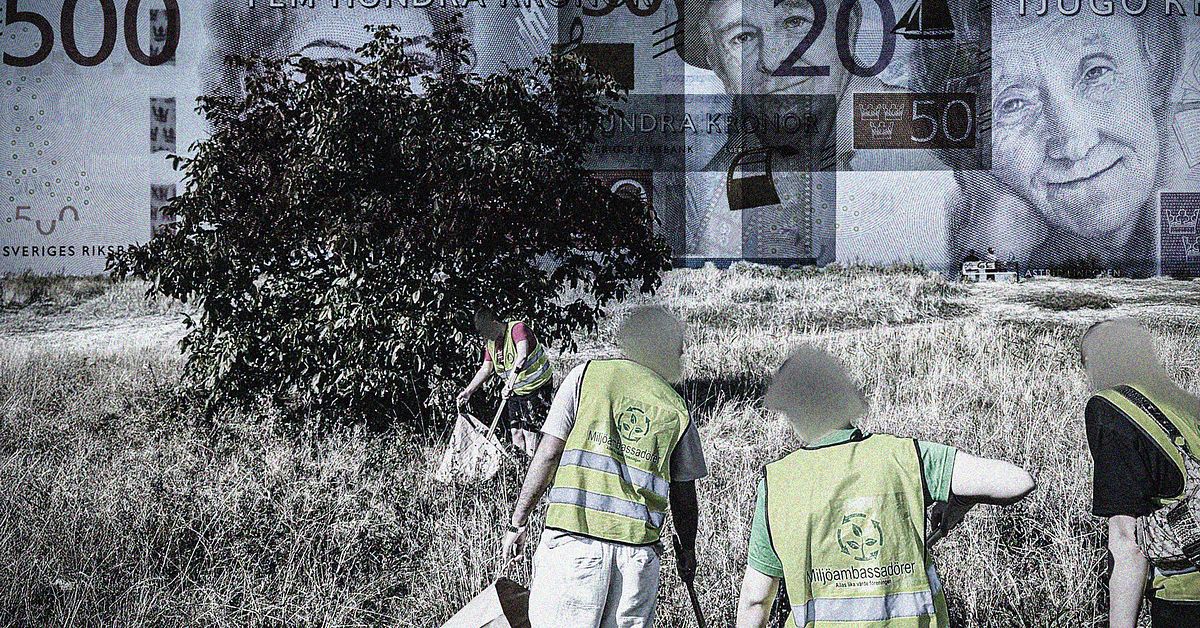 Tog emot praoelever – nu polisanmäls hyllade Malmöföreningen för misstänkt bedrägeri