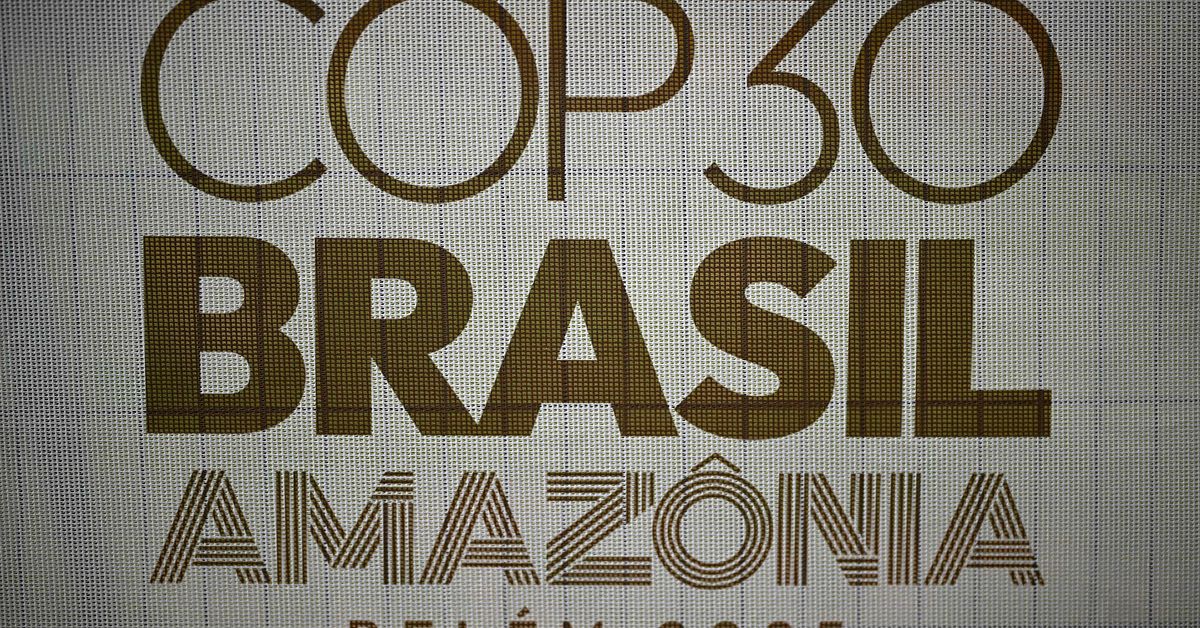 Klimatmötet COP30 i Brasilien: Var, när och hur går klimatmötet till