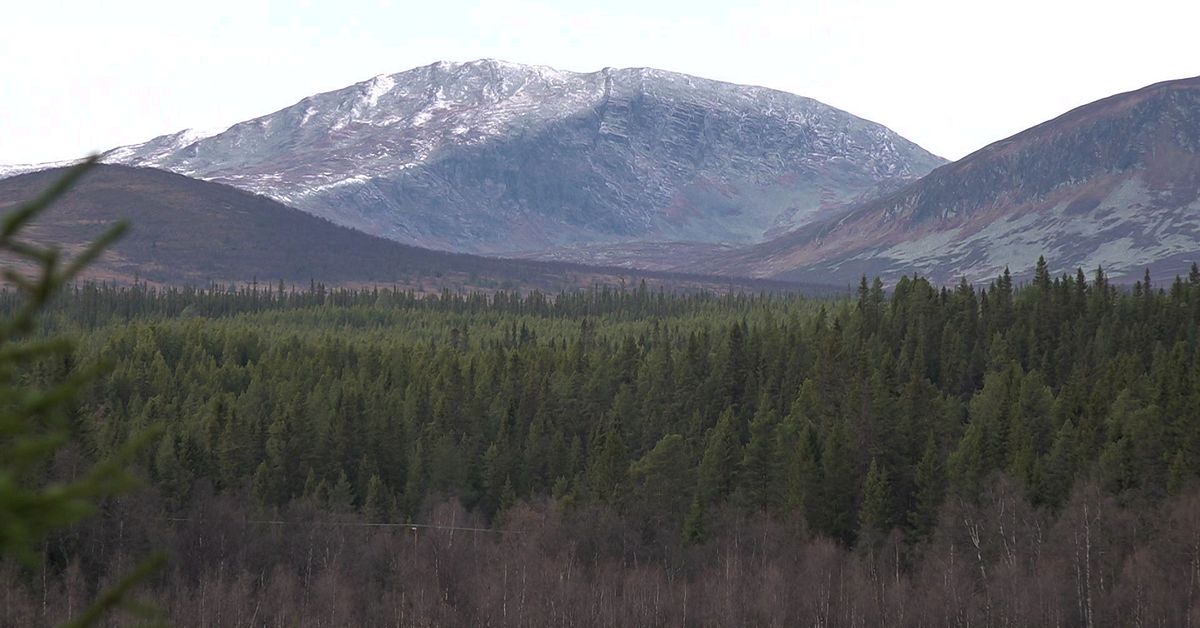 Techmiljard&auml;r k&ouml;per skog i Storsj&ouml; Kapell i Bergs kommun