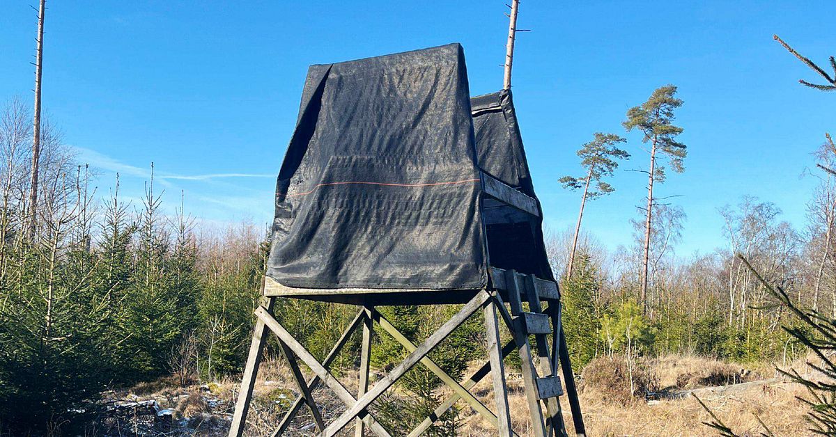 Hund dog under jakten – jägare åtalas för skotten