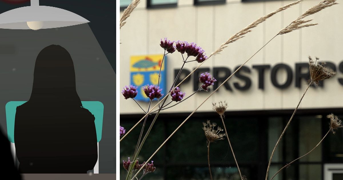 Kommunchef svindlade till sig miljoner – var shoppingberoende