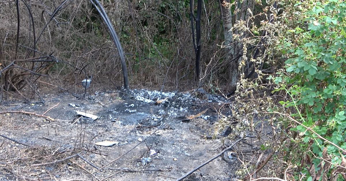 Besked: 26-&aring;ring misst&auml;nkt f&ouml;r dubbelmordet i Malm&ouml; d&ouml;d i Libanon