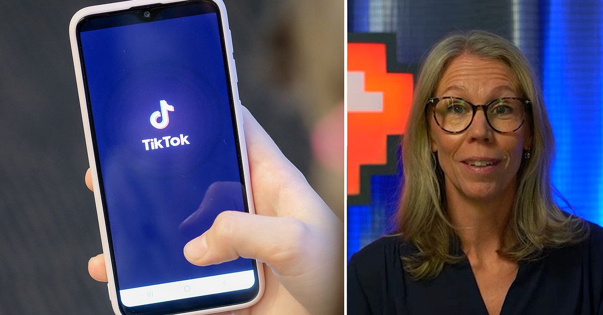 Ny rapport: S&aring; kan Tiktok p&aring;verka valet