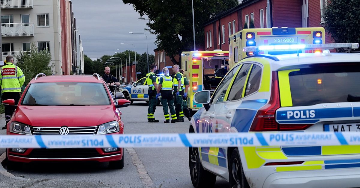 Ton&aring;ring &aring;talas f&ouml;r mord &ndash; efter att man sk&ouml;ts ihj&auml;l i Uppsala