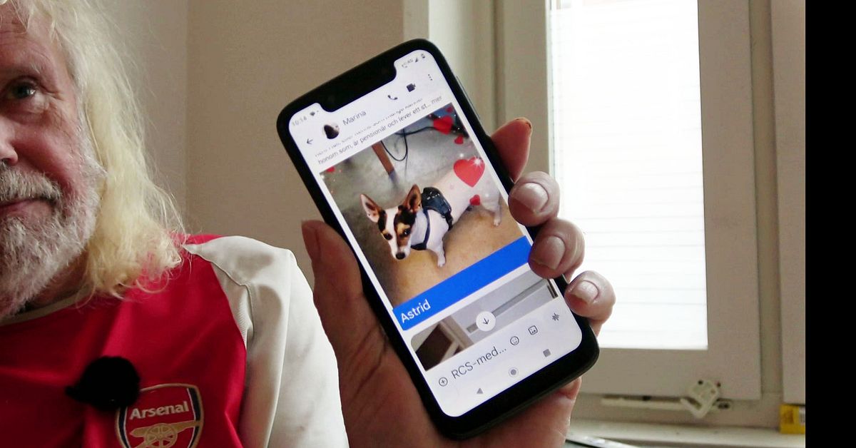 Hunden Astrid bets ihj&auml;l i &Ouml;stersund &ndash; attackerande hunden omh&auml;ndertagen av l&auml;nsstyrelsen