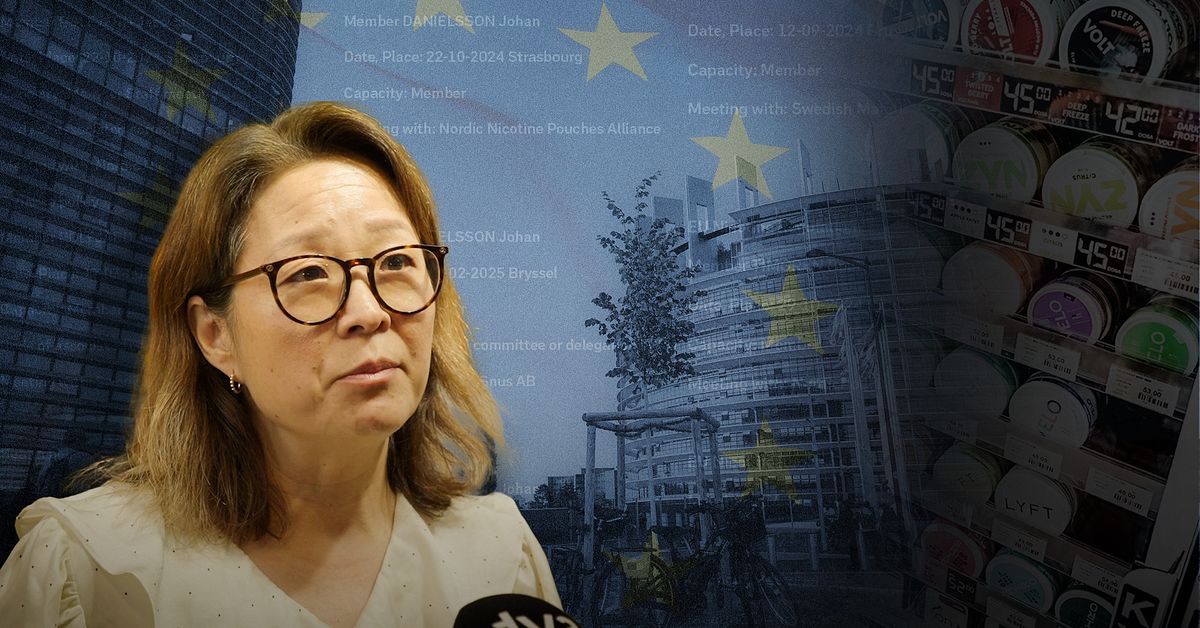 Svenska EU-politiker hade minst 30 m&ouml;ten med snuslobbyister