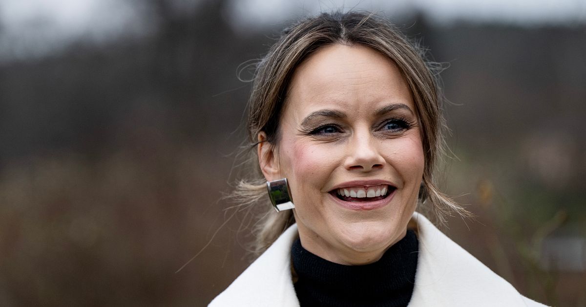 Hovet gör nytt uttalande om prinsessan Sofia och Epstein