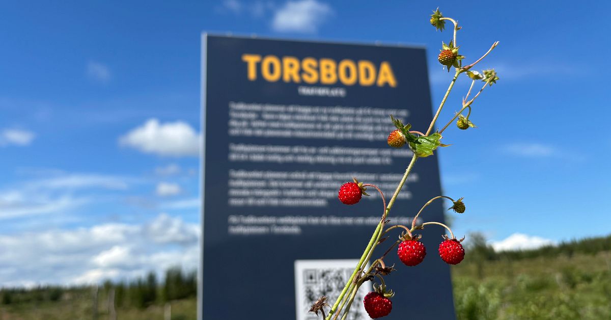 Kritiken: Torsboda s&auml;ljs f&ouml;r billigt till Google &ndash; smultronst&auml;lle f&ouml;r exploat&ouml;rer