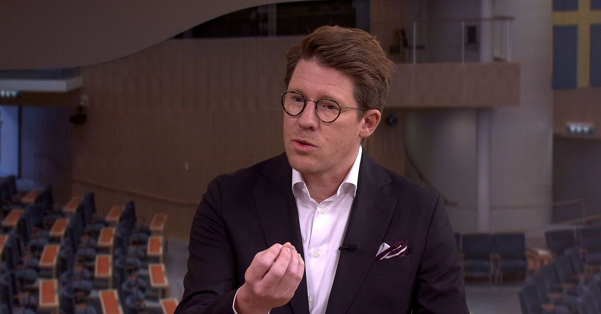 SVT erfar: Simona Mohamsson föreslås bli ny partiledare för Liberalerna