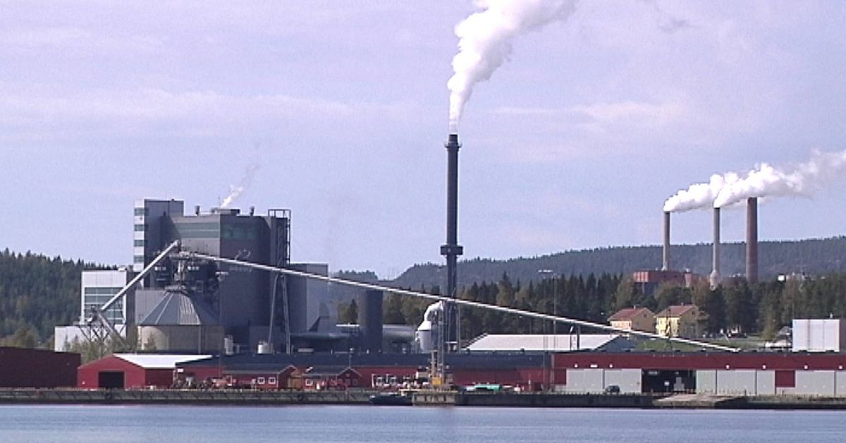 Liquid Wind i konkurs &ndash; hade miljardprojekt i &Ouml;rnsk&ouml;ldsvik och Sundsvall