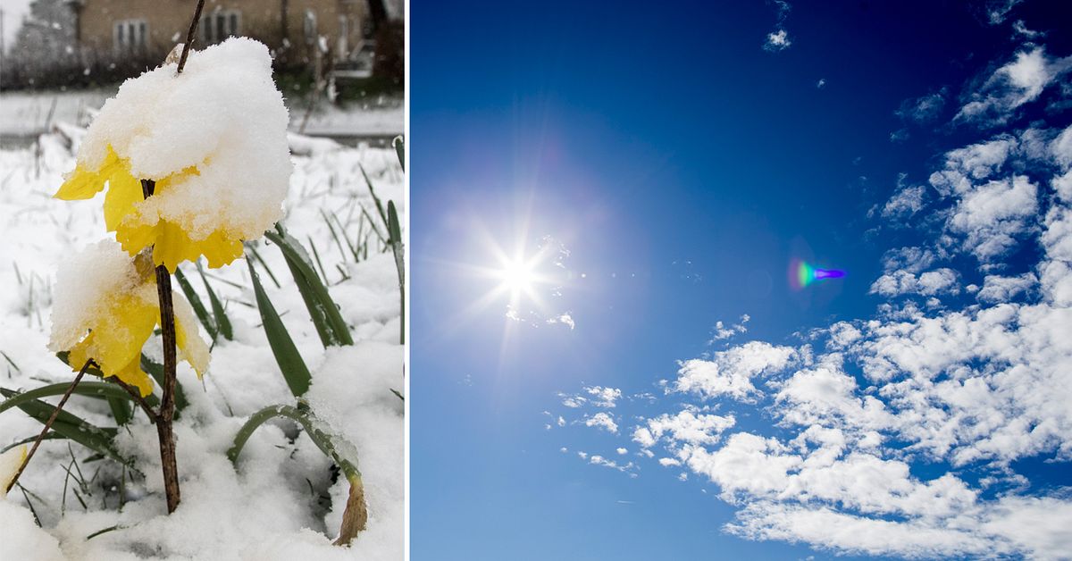 När kommer värmen? SVT Nyheter